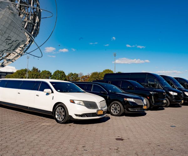 WhatsApp Image 2026-01-13 at 8.20.21 PM